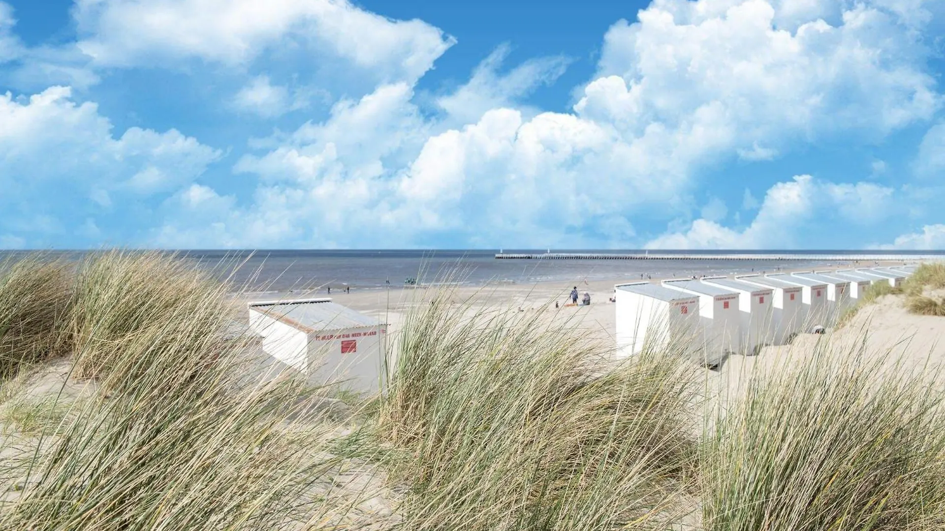 Cosy Holiday Home Near The Marina Nieuwpoort 0*,  Belgium